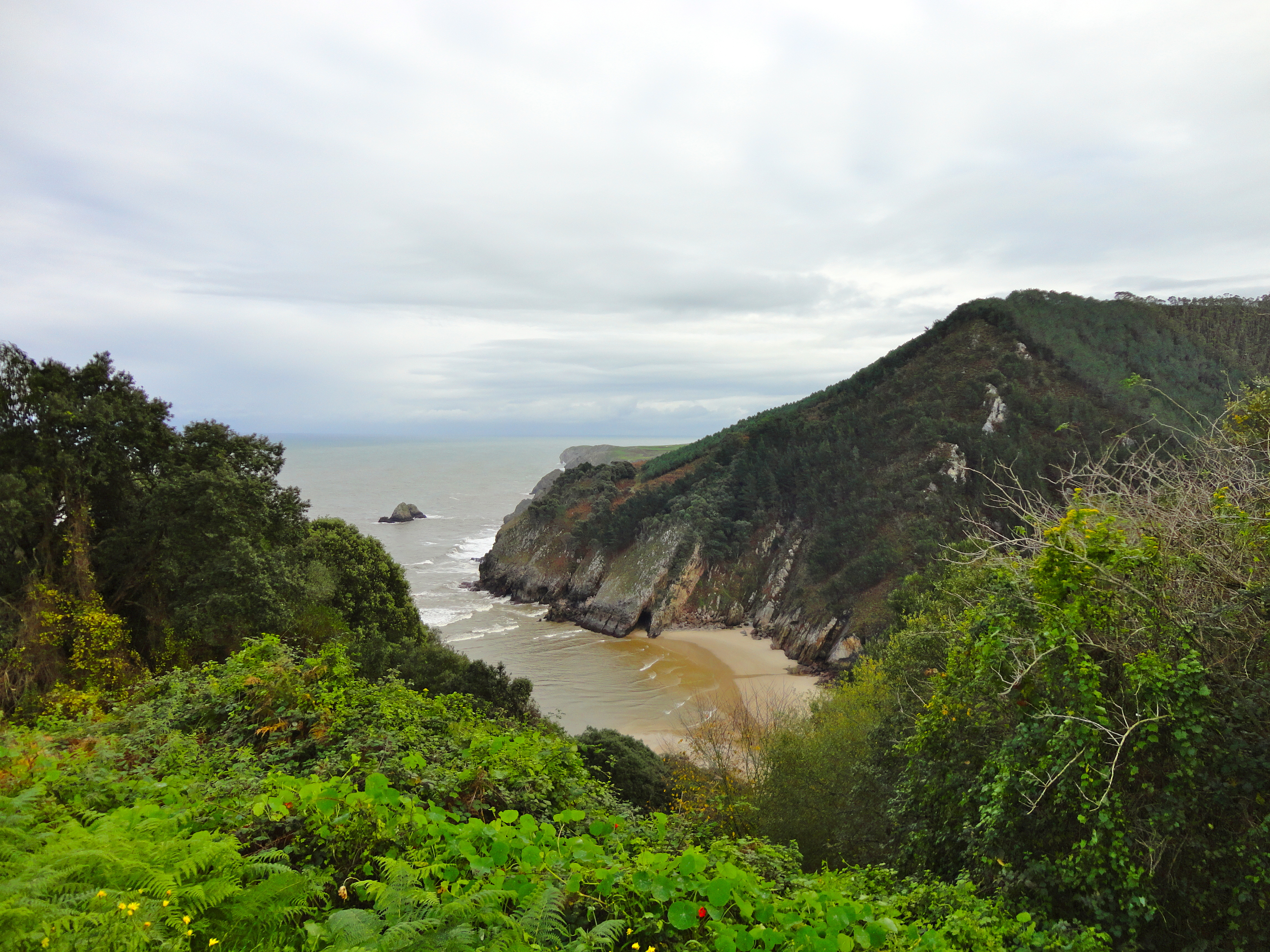 Acantilado de Asturias